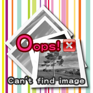 商品與海報陳列 商品與海報陳列